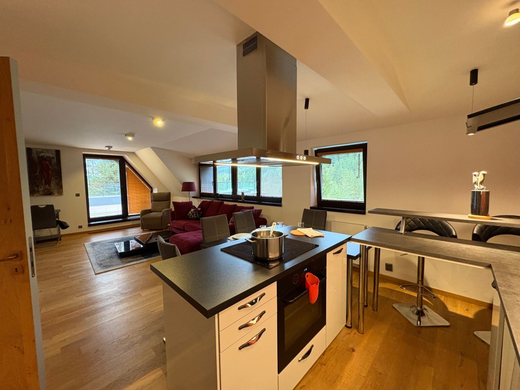 kuchyně spojená s obývacím pokojem